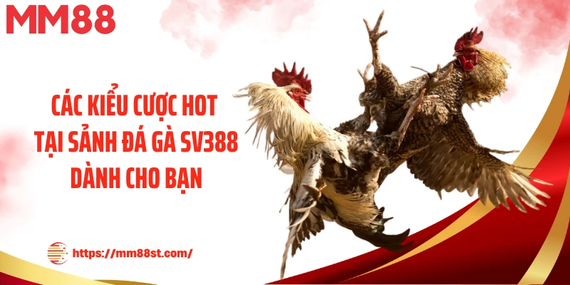 Các kiểu cược hot tại sảnh đá gà SV388 dành cho bạn