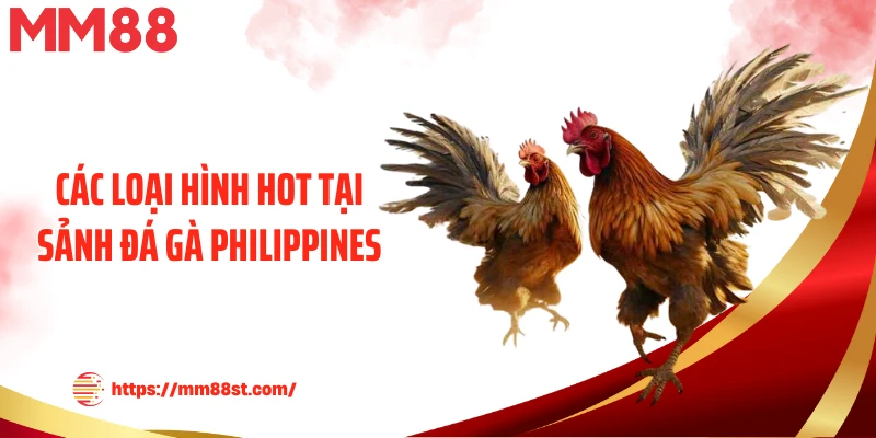 Các loại hình hot tại sảnh đá gà Philippines
