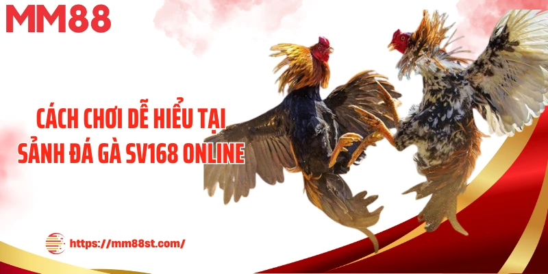 Cách chơi dễ hiểu tại sảnh đá gà SV168 online