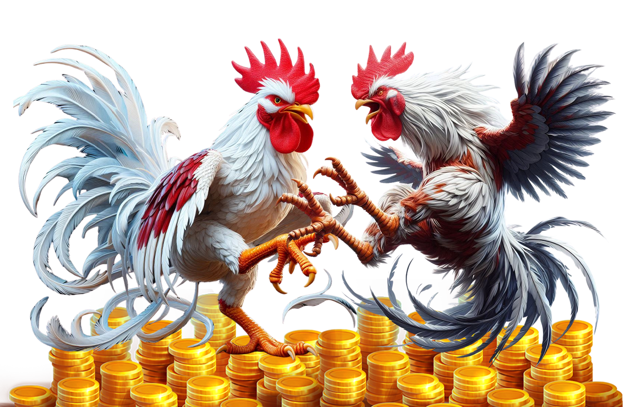 Đá Gà Trực Tiếp