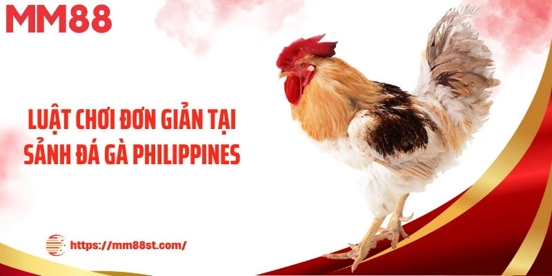 Luật chơi đơn giản tại sảnh đá gà Philippines