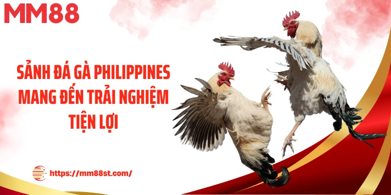 Sảnh đá gà Philippines mang đến trải nghiệm tiện lợi