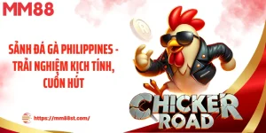 Sảnh Đá Gà Philippines - Trải Nghiệm Kịch Tính, Cuốn Hút 