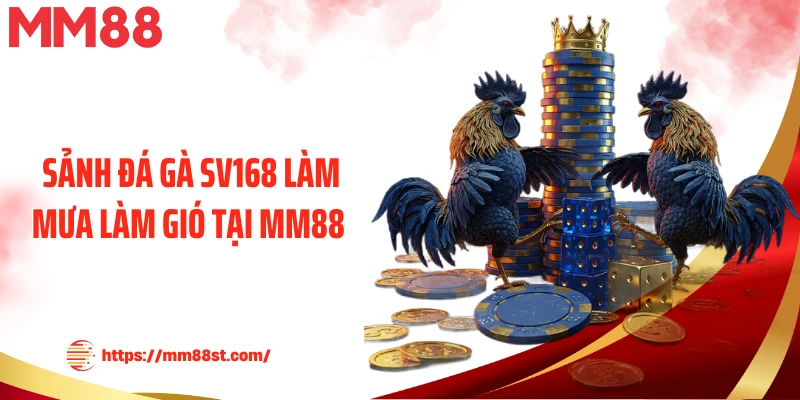 Sảnh đá gà SV168 làm mưa làm gió tại MM88 